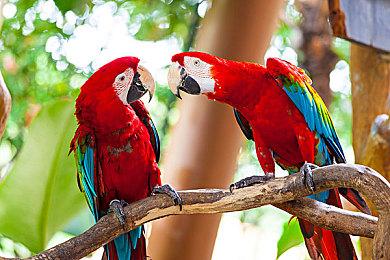 KK官方对战平台新图推荐！生存党的狂欢盛宴！